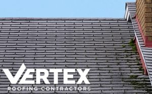 Signs of a leaky roof - Vertex Roofing Contractors Salt Lake City, Utah