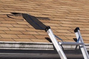 Roof Leak Repair - Vertex Roofing