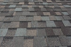 Best Time to Replace Roof in Salt Lake City - Vertex Roofing