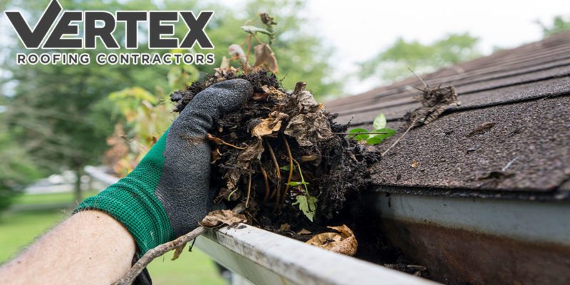 Cleaning Rain Gutters