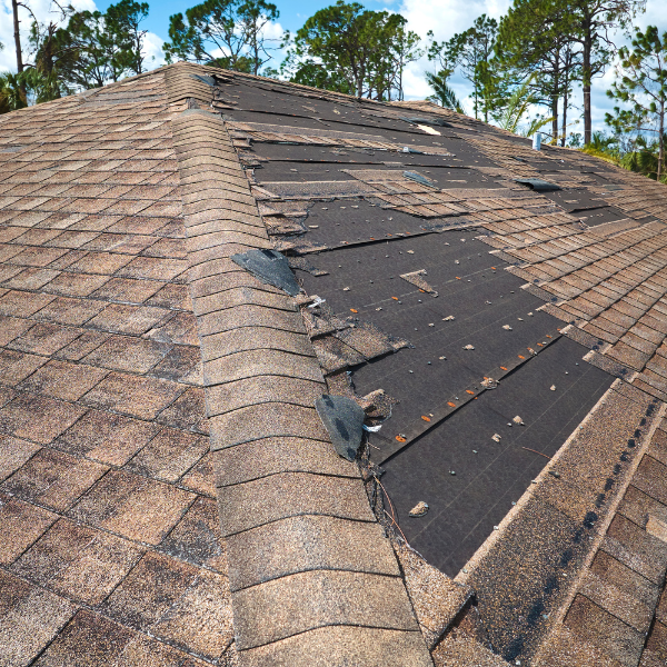 Cracked and worn residential roof needing replacement