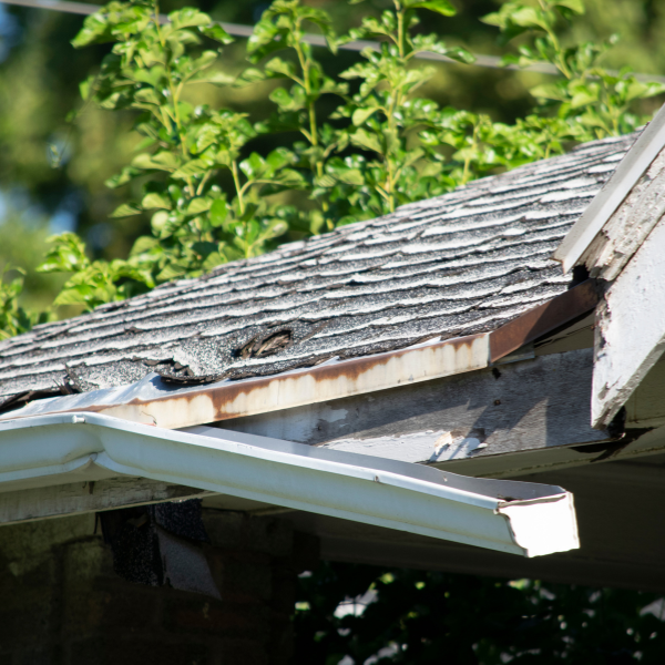Cost of Ignoring Roof and Gutter Repairs in Utah