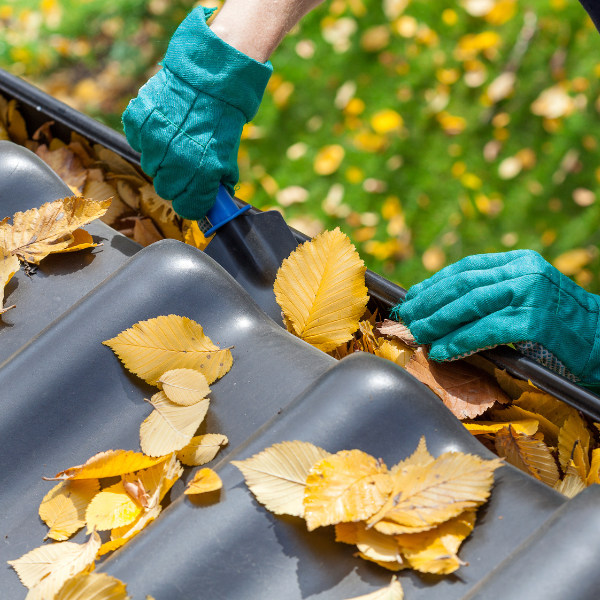 Rain Gutter Cleaning and Repair Services in Utah