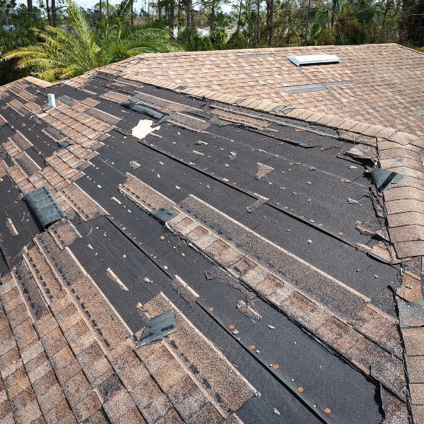 Roof Damage from Delayed Replacement