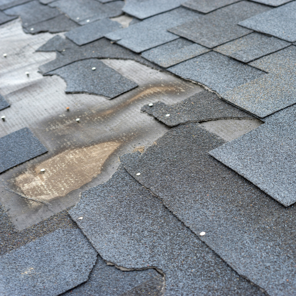 Signs You Need Roof Replacement in Utah